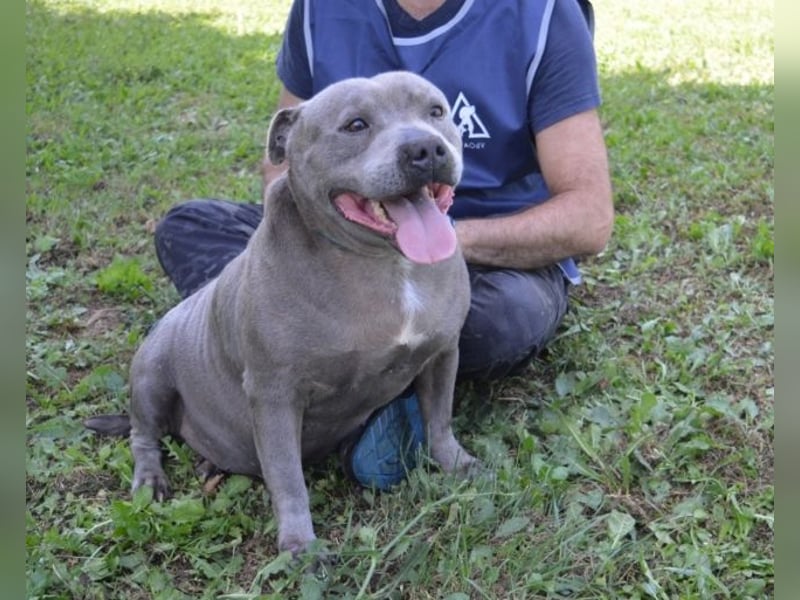 Bombolotto - Verliere bitte nicht die Hoffnung