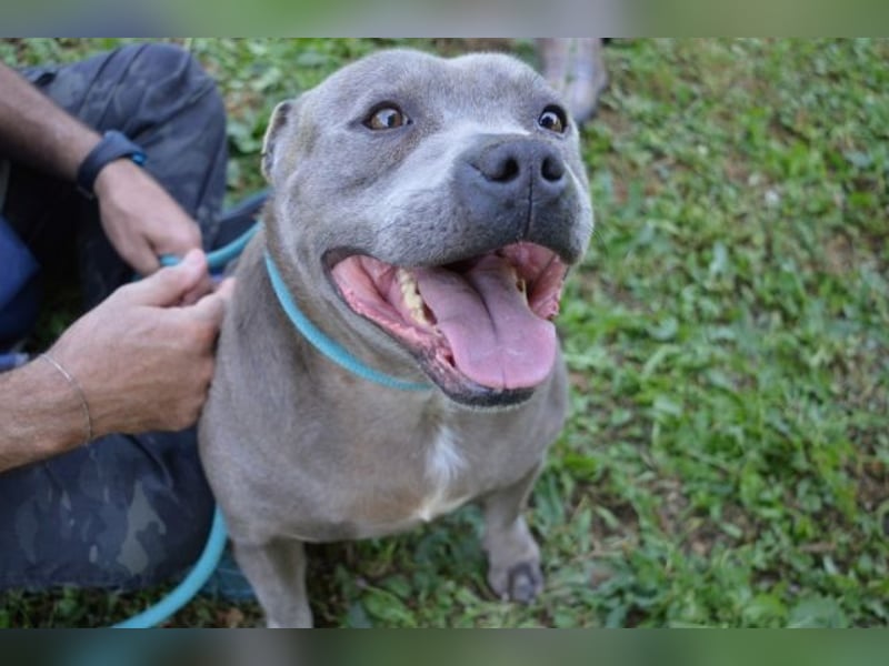 Bombolotto - Verliere bitte nicht die Hoffnung