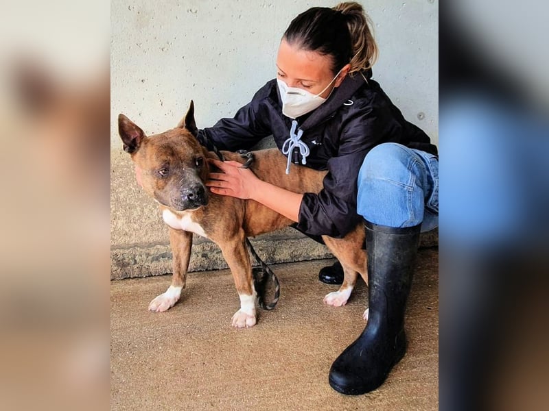 Rucola - auf der Suche nach dem vollkommenen Glück