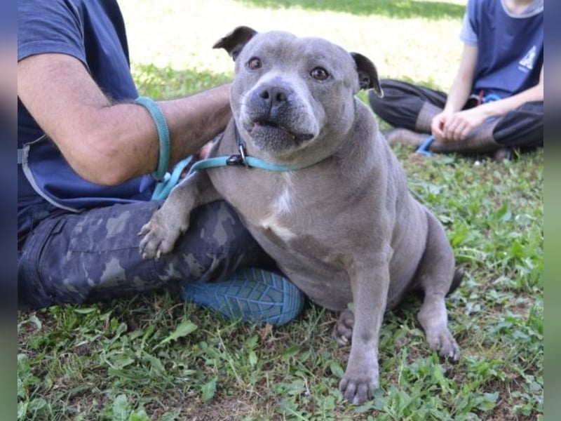 Bombolotto - Verliere bitte nicht die Hoffnung