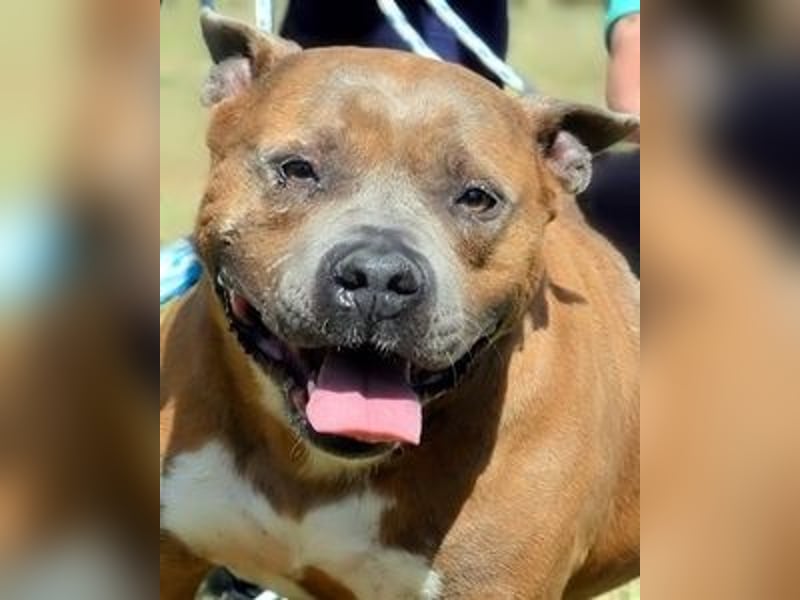 Rucola - auf der Suche nach dem vollkommenen Glück