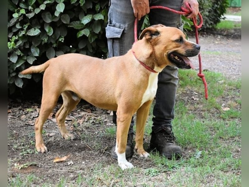 Rodolph - Die inneren Werte zählen