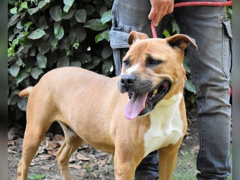 Rodolph - Die inneren Werte zählen