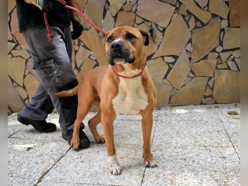 Rodolph - Die inneren Werte zählen