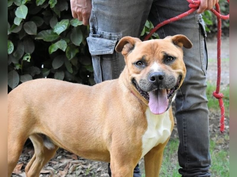 Rodolph - Die inneren Werte zählen