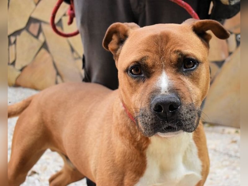 Rodolph - Die inneren Werte zählen