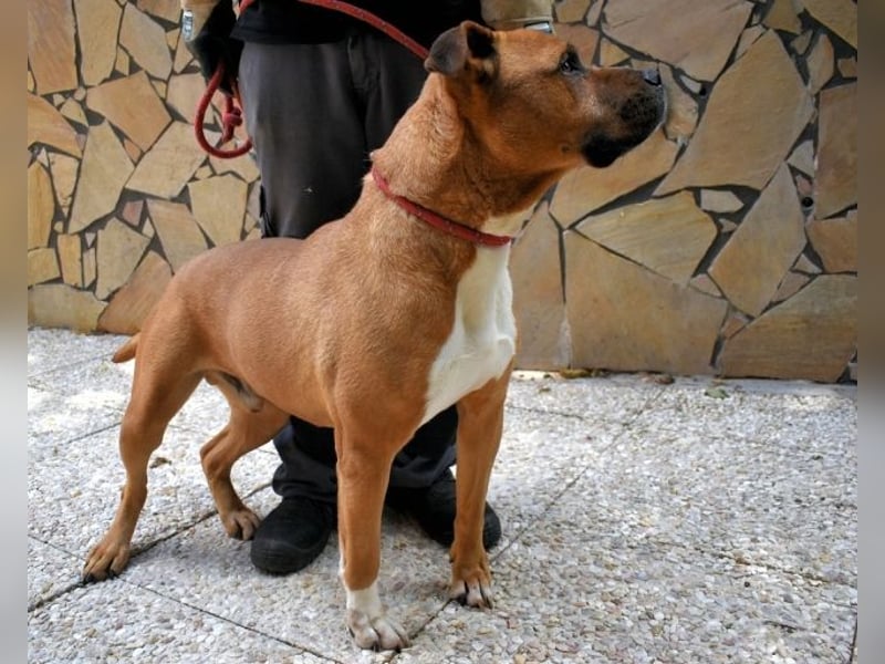 Rodolph - Die inneren Werte zählen