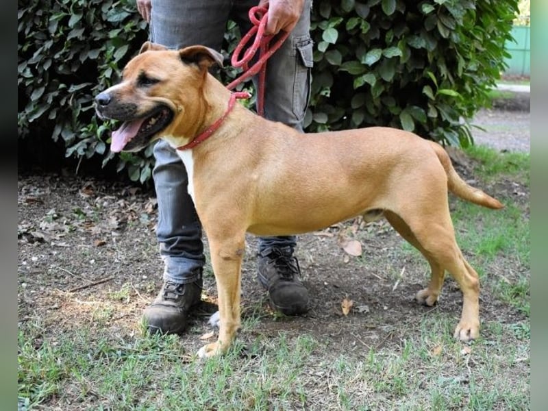 Rodolph - Die inneren Werte zählen