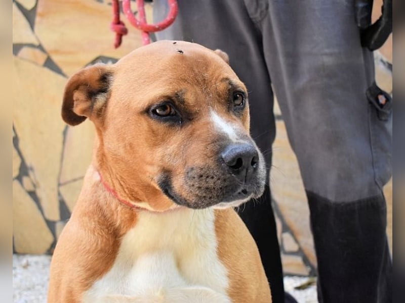 Rodolph - Die inneren Werte zählen