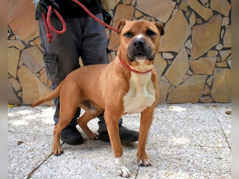 Rodolph - Die inneren Werte zählen