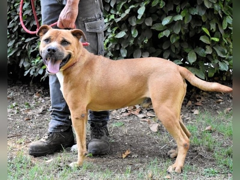 Rodolph - Die inneren Werte zählen