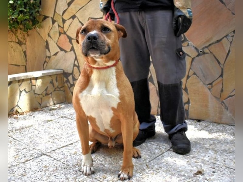 Rodolph - Die inneren Werte zählen