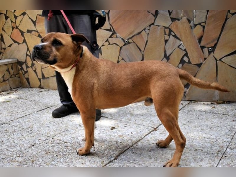 Rodolph - Die inneren Werte zählen