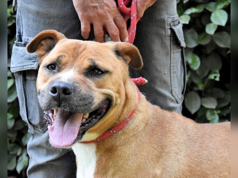 Rodolph - Die inneren Werte zählen