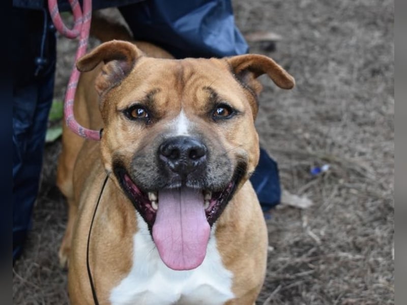 Rodolph - Die inneren Werte zählen