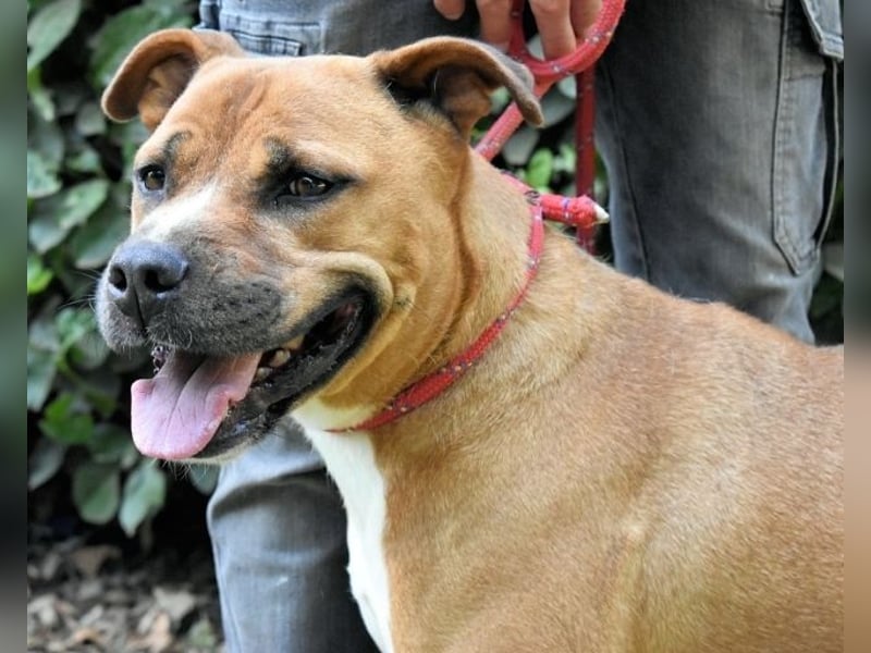 Rodolph - Die inneren Werte zählen