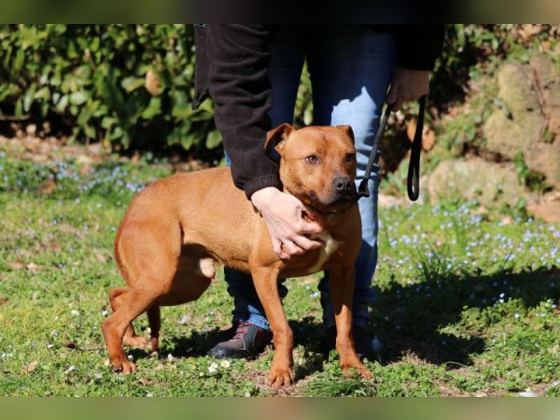 Zorro - was für ein Name
