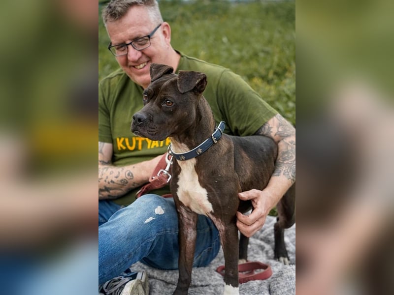 Katica, Knuschkugel  leider nur für A/CH/NL/SWE