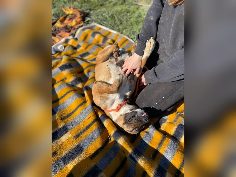 Erszi, Knutschkugel möchte gerne Kuscheln