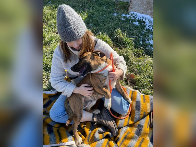 Erszi, Knutschkugel möchte gerne Kuscheln