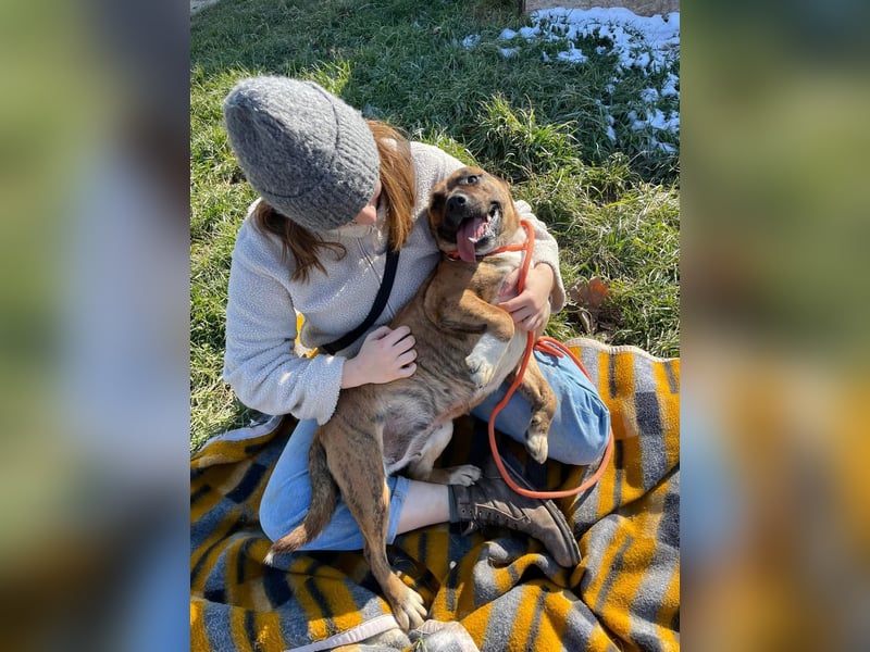 Erszi, Knutschkugel möchte gerne Kuscheln