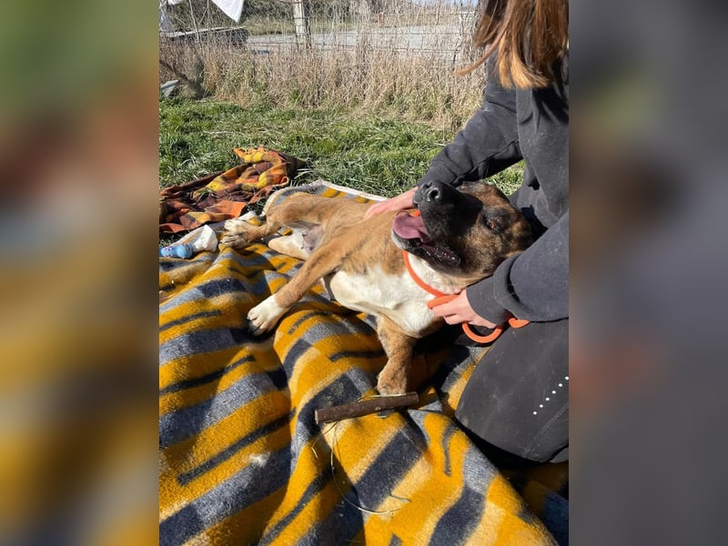 Erszi, Knutschkugel möchte gerne Kuscheln