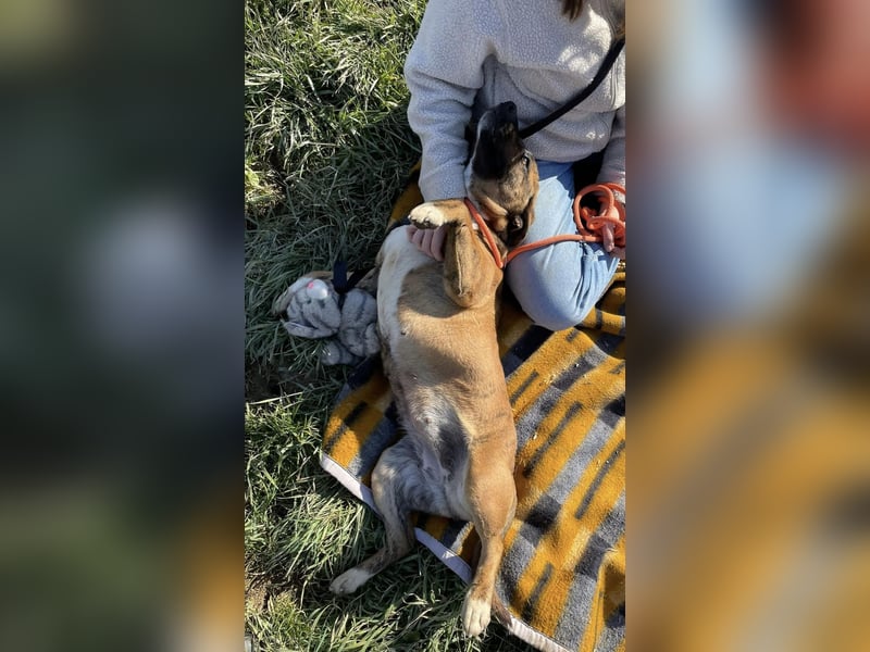 Erszi, Knutschkugel möchte gerne Kuscheln