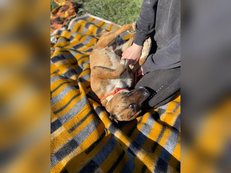 Erszi, Knutschkugel möchte gerne Kuscheln