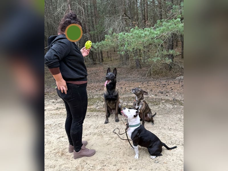 PERLA – voller Lebensfreude