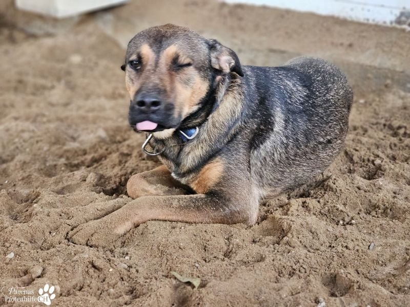 Yuri, leider keine Einreise nach Deutschland aufgrund der Rassegesetze