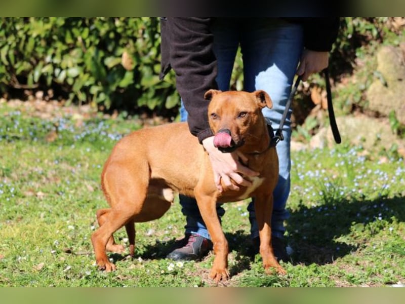 Zorro - was für ein Name