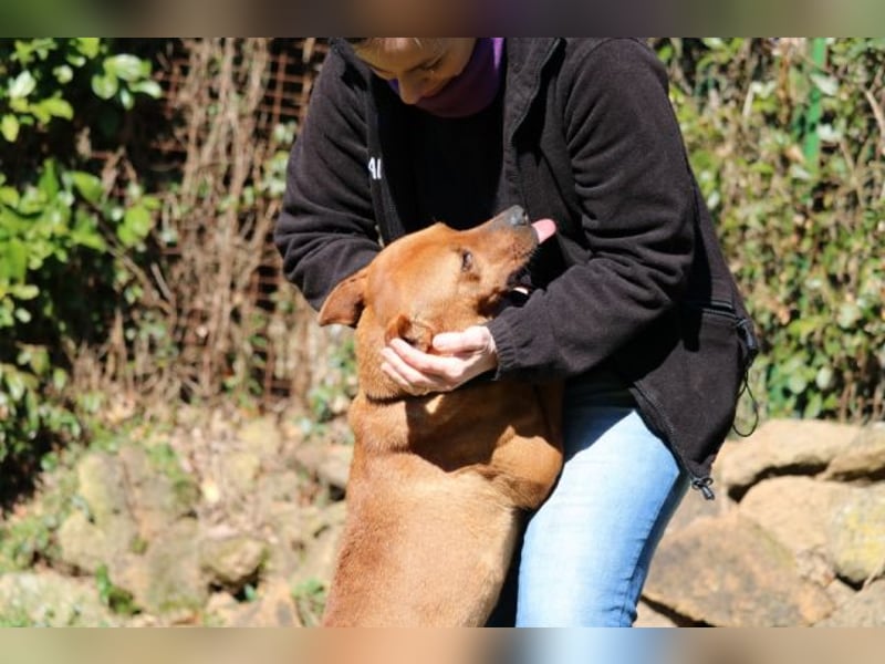 Zorro - was für ein Name