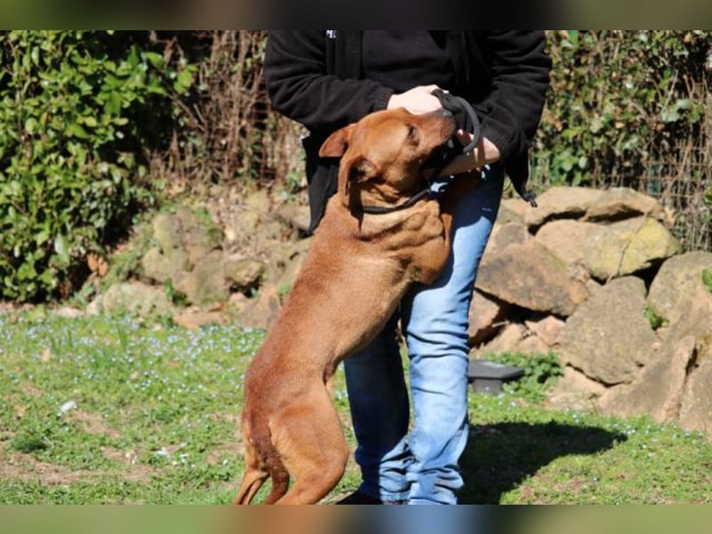 Zorro - was für ein Name