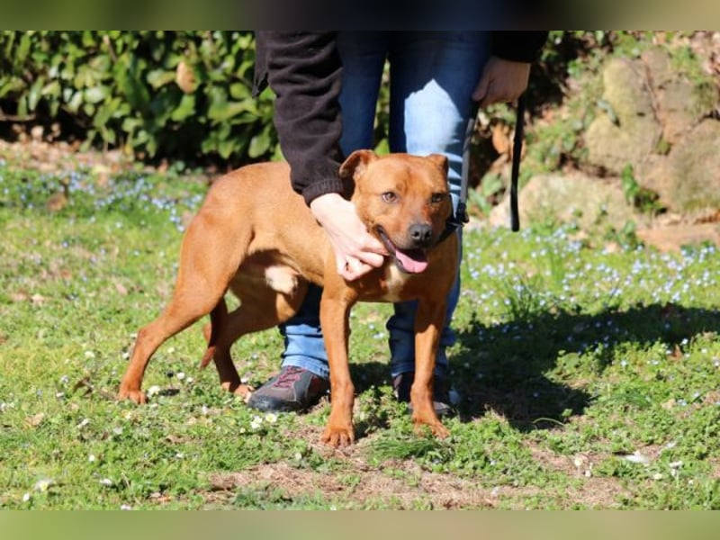 Zorro - was für ein Name