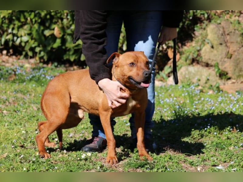 Zorro - was für ein Name