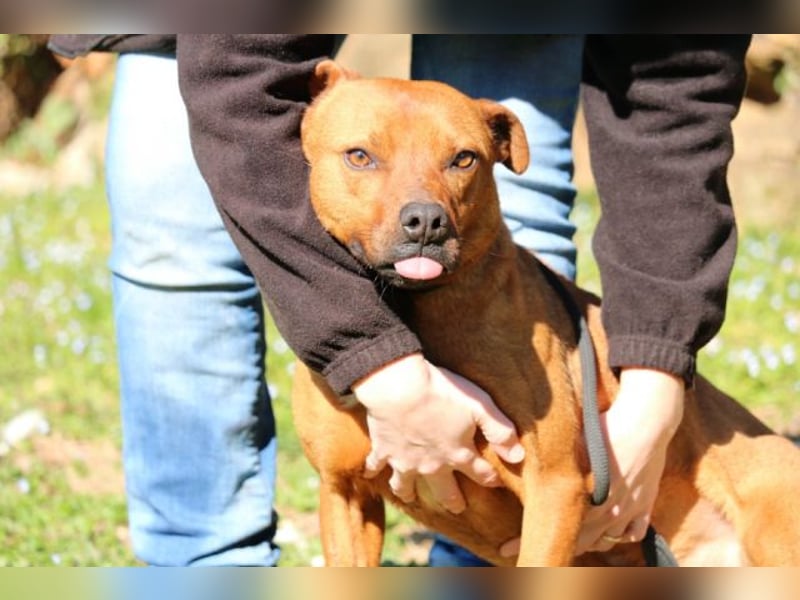 Zorro - was für ein Name