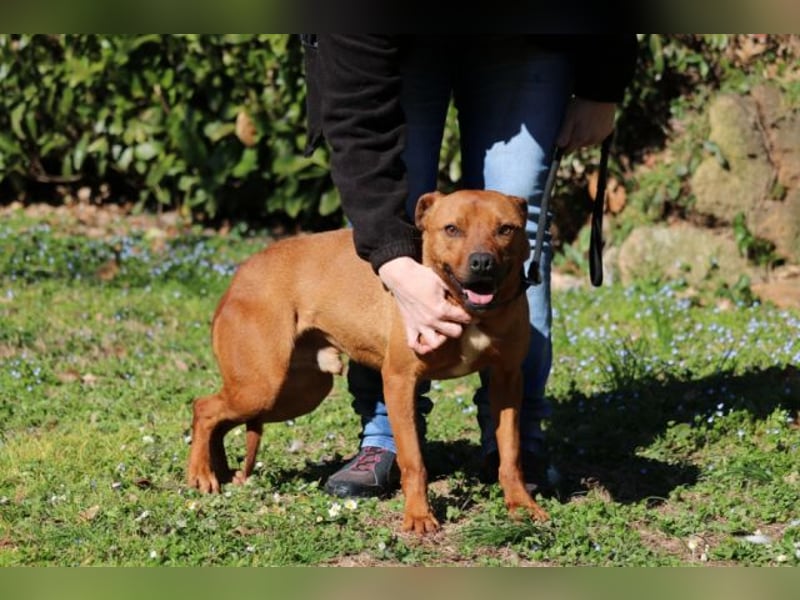 Zorro - was für ein Name