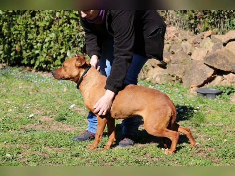 Zorro - was für ein Name
