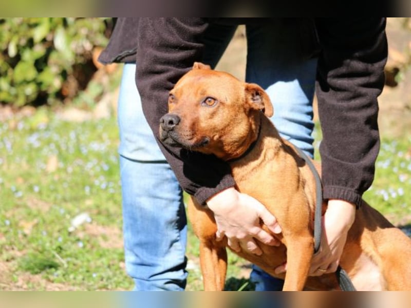 Zorro - was für ein Name