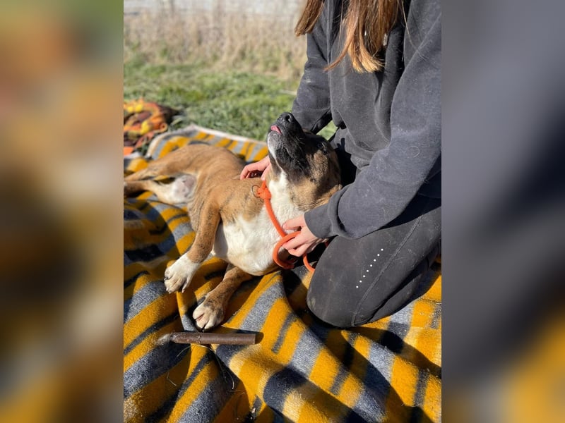 Erszi, Knutschkugel möchte gerne Kuscheln