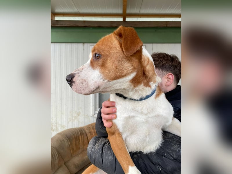 Zeus, aktiv und menschenorientiert