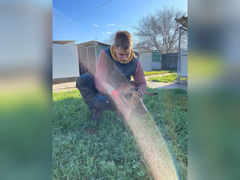 Cherry, sucht aktive Menschen, Vermittlung nur nach CH,SWE,NL o. A