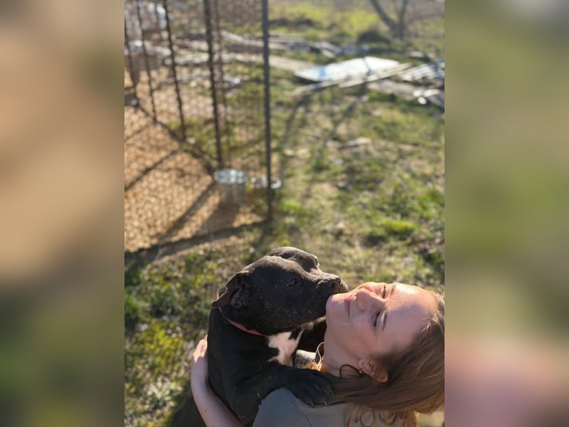 Pilango, aktives Krafpaket sucht sportliche Menschen