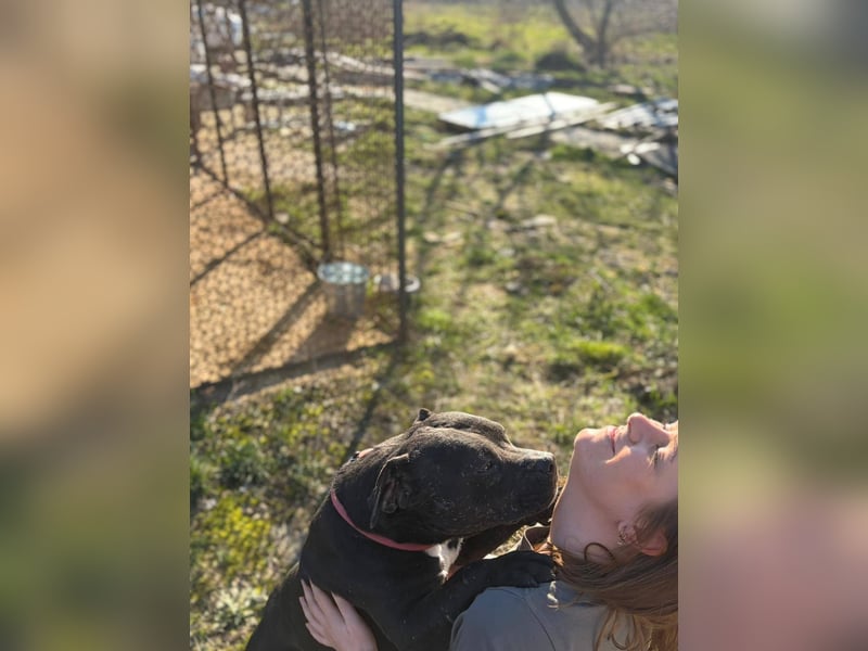 Pilango, aktives Krafpaket sucht sportliche Menschen