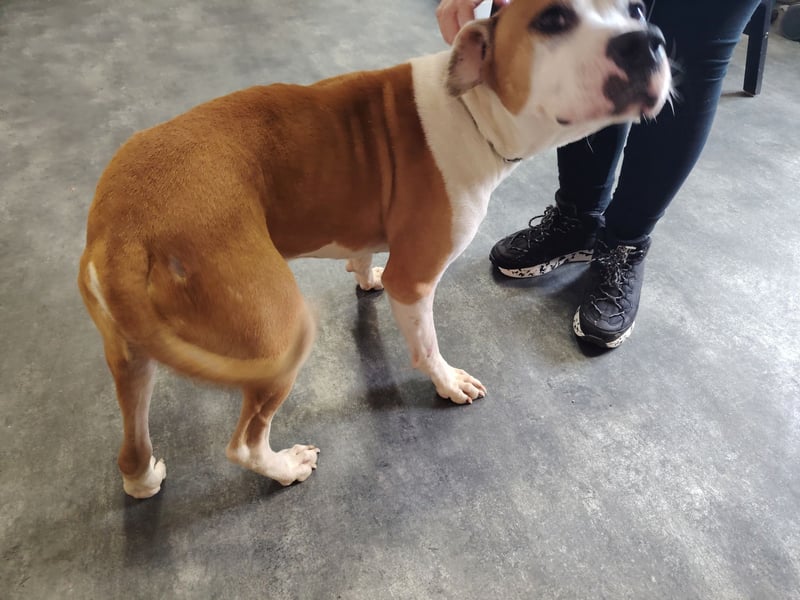 Jonathan , freundlich und zutraulich