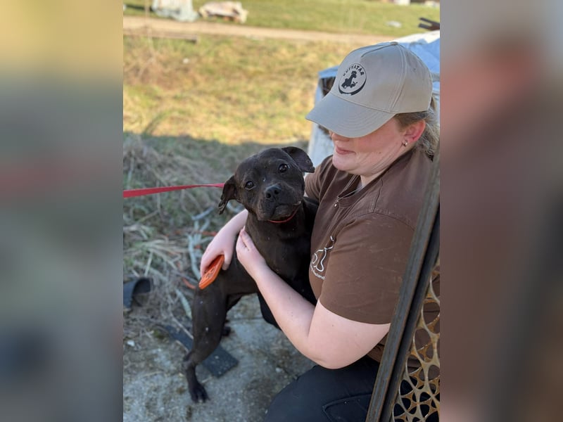 Lepke  wäre gerne Einzelprinzessin