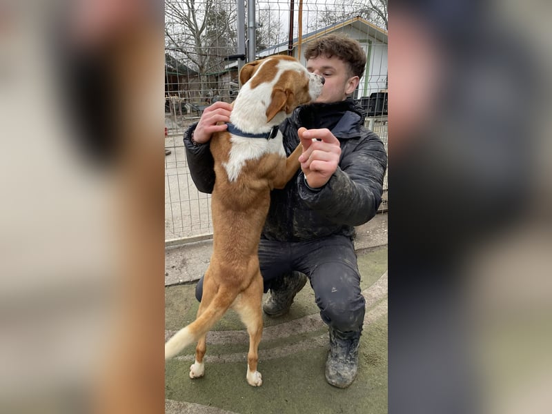 Zeus, aktiv und menschenorientiert