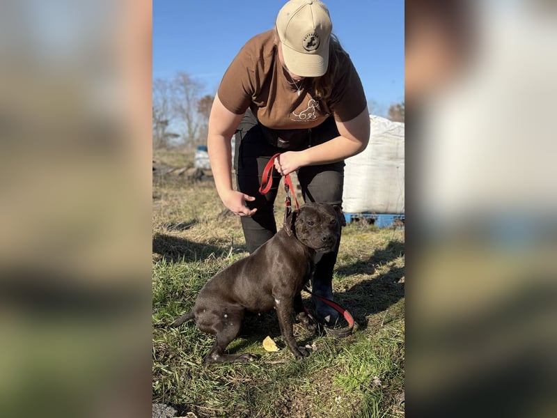 Lepke  wäre gerne Einzelprinzessin