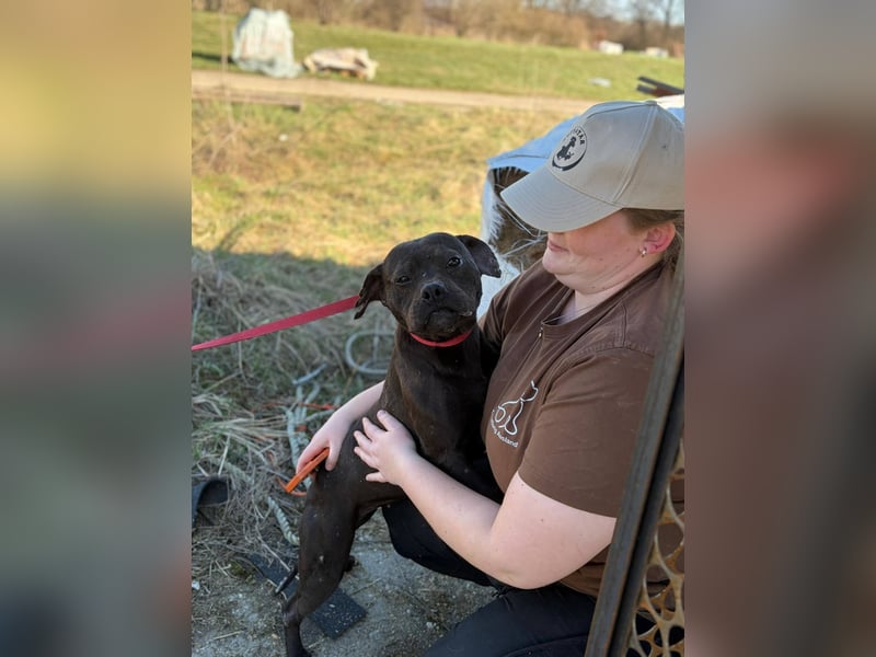 Lepke  wäre gerne Einzelprinzessin