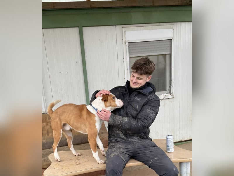 Zeus, aktiv und menschenorientiert